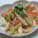 アレコレ野菜の簡単キムチ漬け